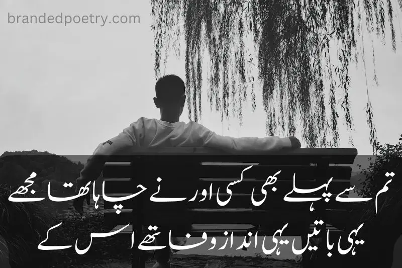 2 line copy paste poetry in urdu