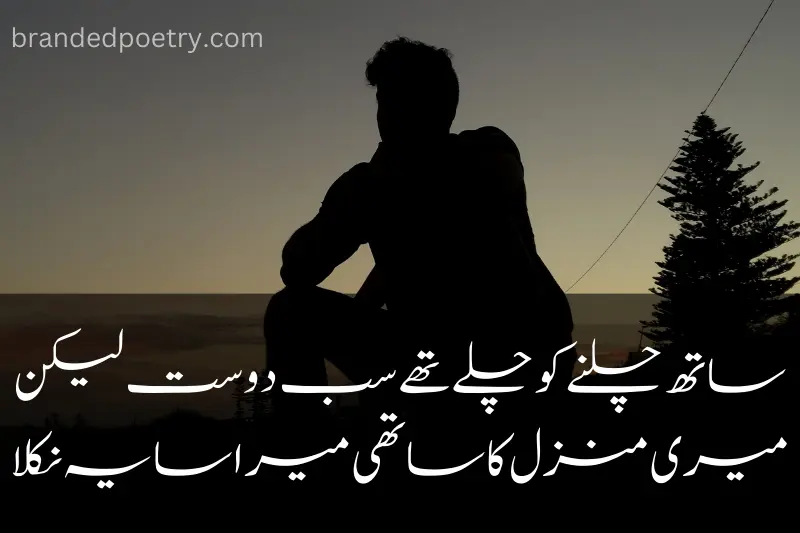 2 line poetry in urdu about fake friendship
