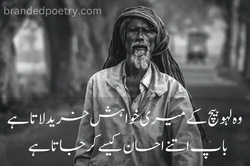 2 lines poetry in urdu about old father