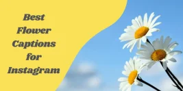 100+ Aesthetic Flower Captions for Instagram to Make Your Photos Bloom