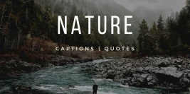 100+ Captions for Nature Photos on Instagram