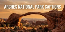 100+ Captions for Park Pictures