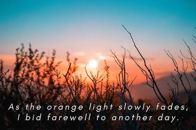 Captions With Light for Instagram