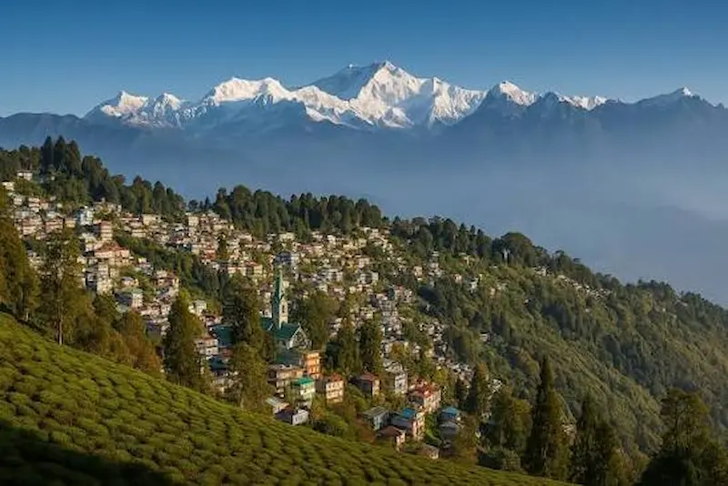 Darjeeling Instagram Captions