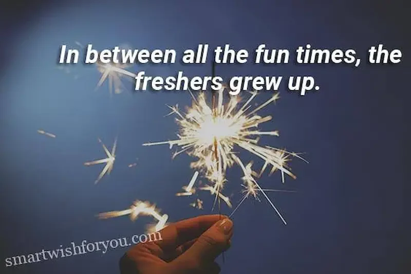 Freshers Instagram Captions