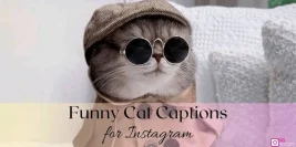 100+ Funny Cute Captions for Instagram, Selfies & Photos