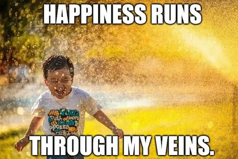 Funny My Happiness Captions
