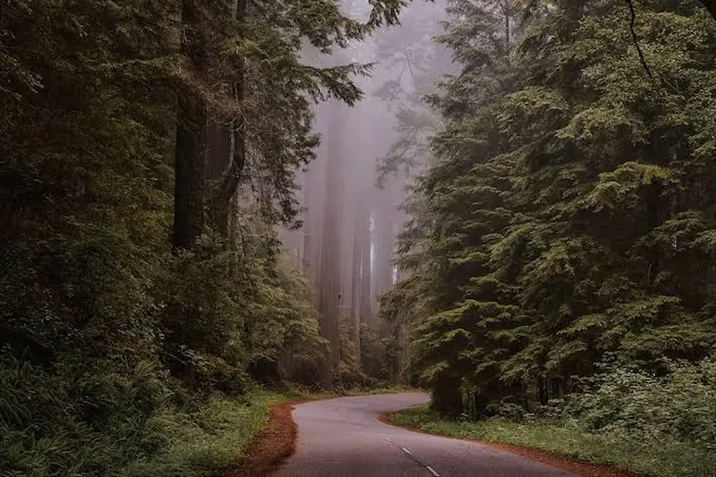 How to Make Your Scenery Instagram Post More Interesting