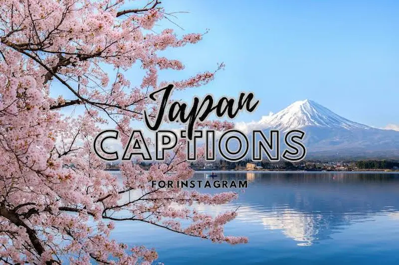 Japanese Captions for New Beginnings