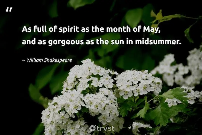 May Month Captions About New Beginnings