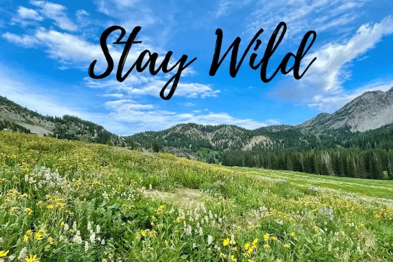 Nature Captions for Instagram