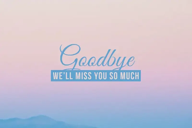 School Farewell Instagram Captions