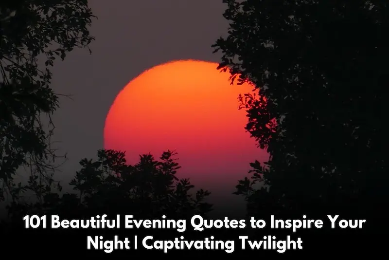 Why Are Evening Photos So Popular