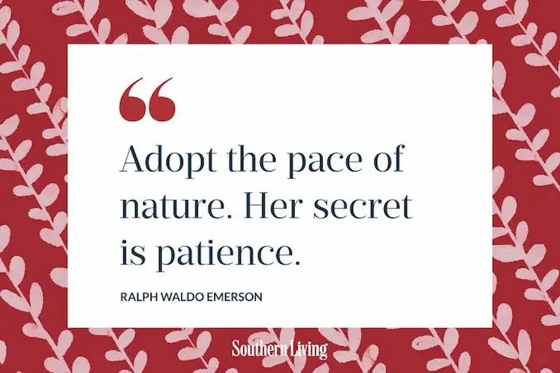 Why Nature Captions Are Popular