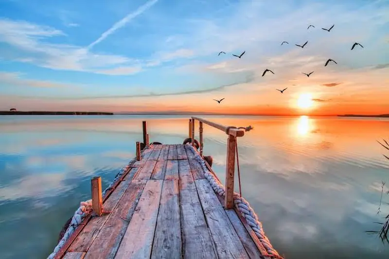 Why Nature Photos Make Great Instagram Posts