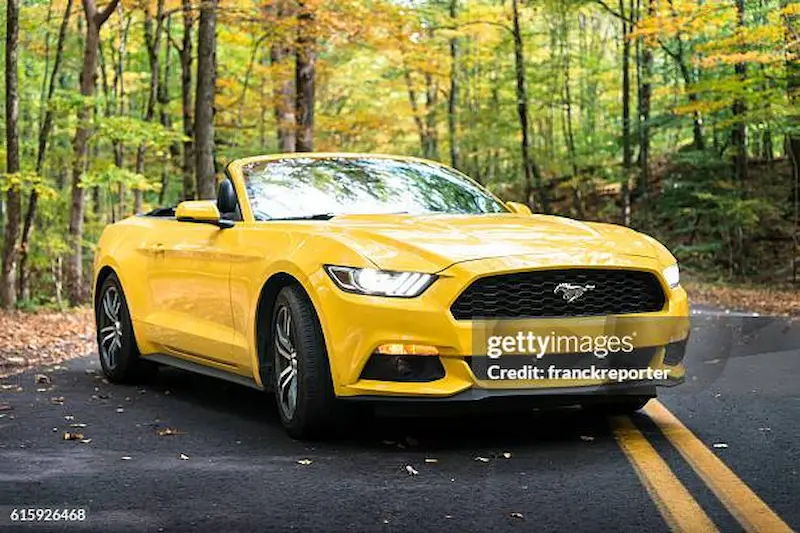 Why Vehicle Captions Are Popular on Social Media