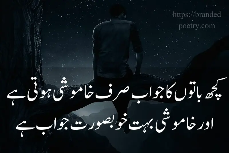 alone boy sad life poetry in urdu two lines
