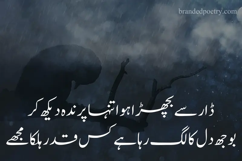 alone poetry in urdu