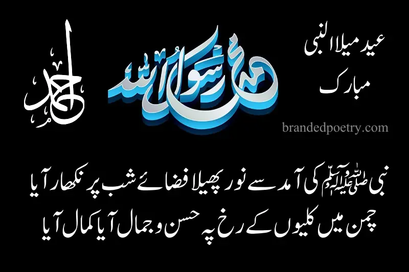 12 rabi ul awal quote in urdu
