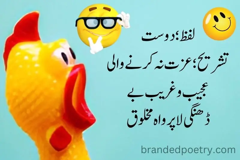 best funny friendship poetry in urdu