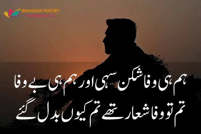 bewafa poetry in urdu 2 lines