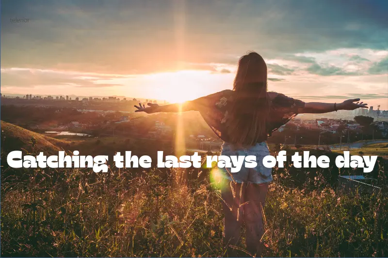 catching the last rays of the day