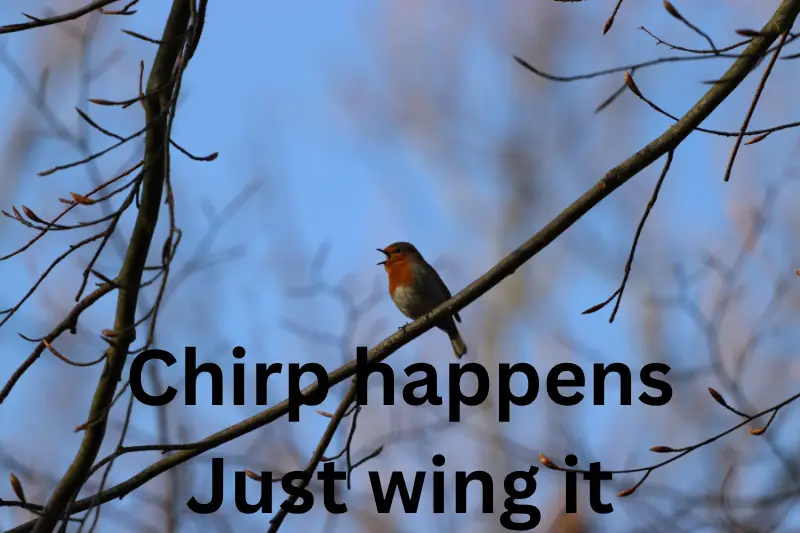 chirp happens. just wing it