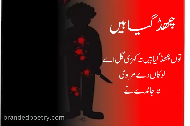 death attitude punjabi poetry in urdu