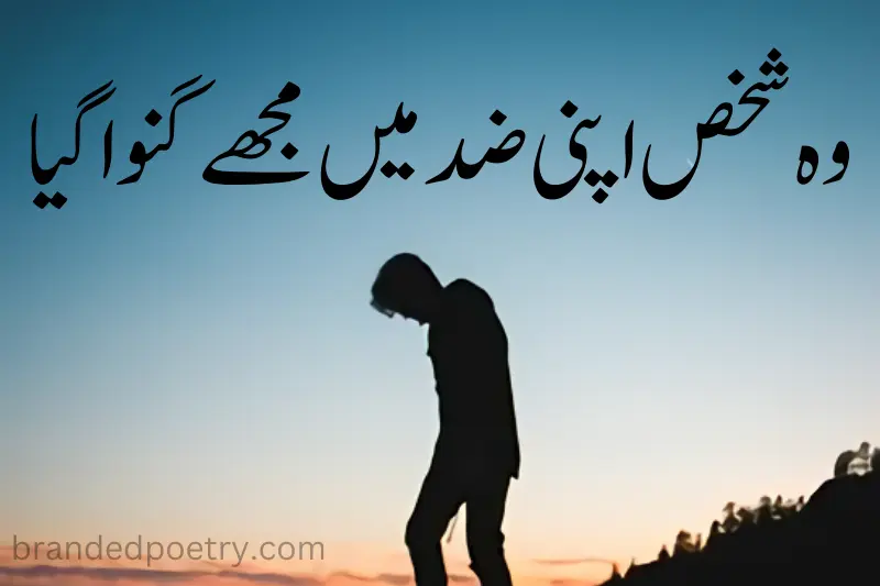 deep quote in urdu one line about sad boy