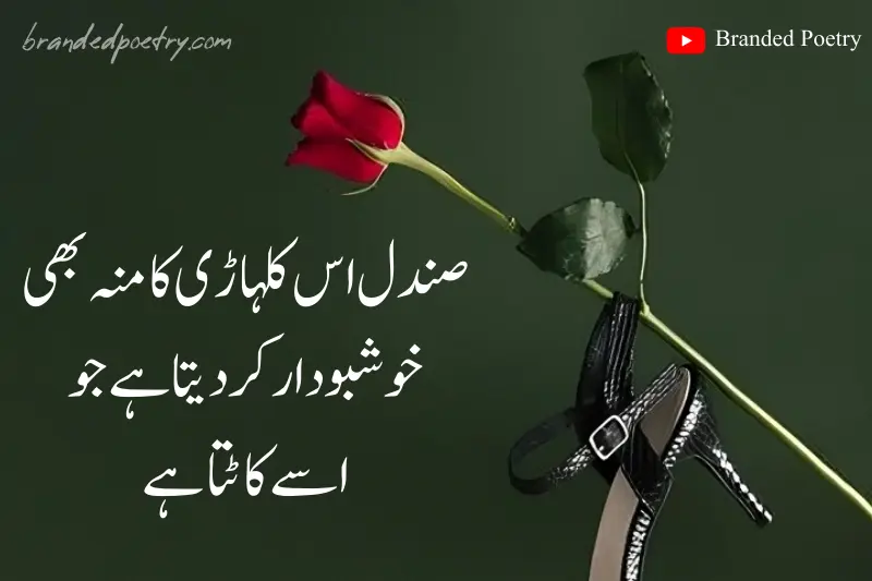 friends like a flower quote in urdu