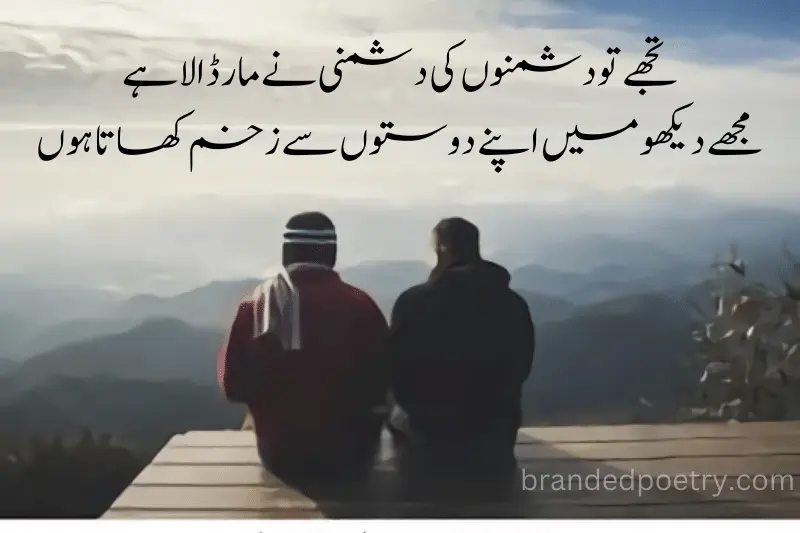 friendship quote in urdu