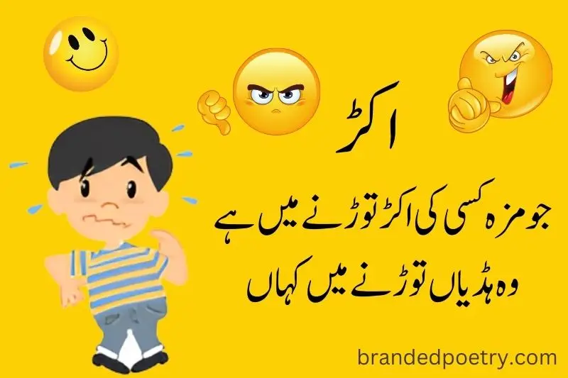 funny boy attitude poetry in urdu