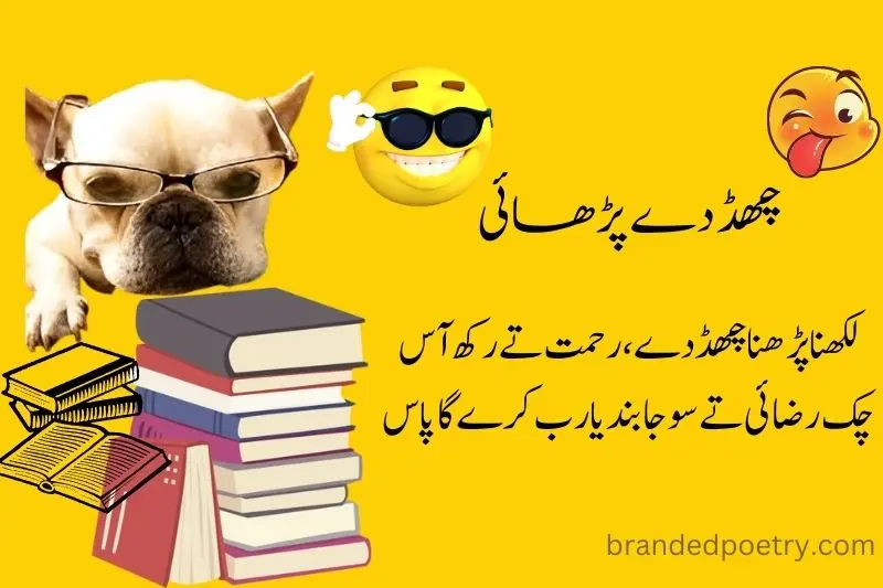 funny dog reading books funny poetry in urdu