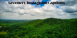 100+ Greenery Instagram Captions (Best Nature & Plant Captions)
