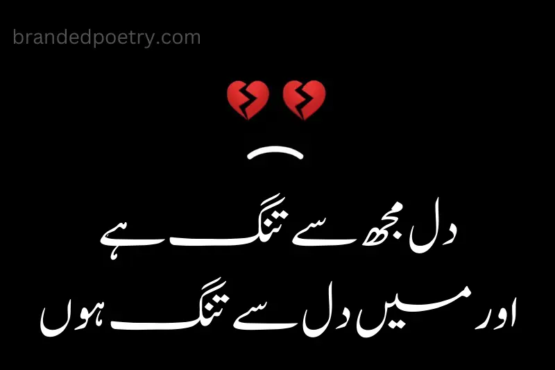 heart touching sad life quote in urdu