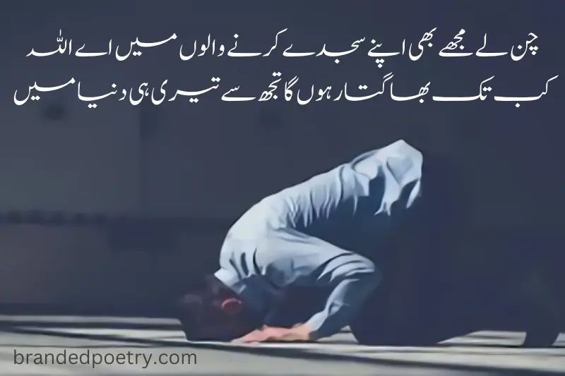 heart touching urdu quote about muslim man performing namaz