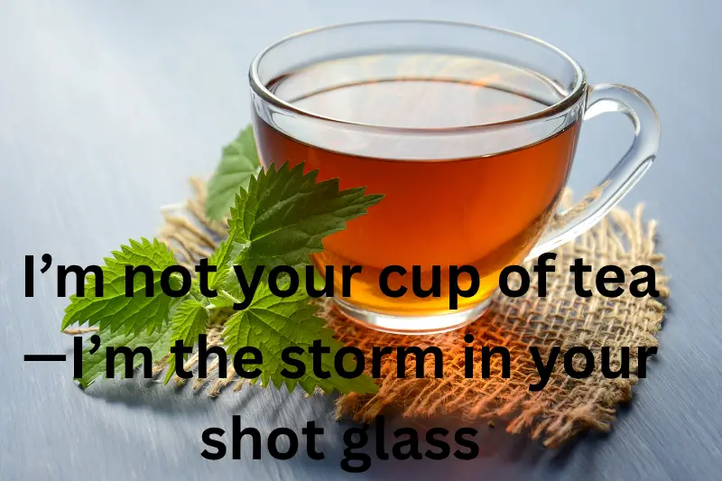 i’m not your cup of tea—i’m the storm in your shot glass