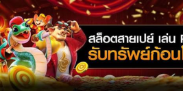 Alpha88 คืออะไร? คู่มือการตรวจสอบเว็บไซต์และความปลอดภัยก่อนใช้งาน