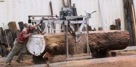 Turning fallen logs into flat lumber with a portable sawmill, where kerf, clamping, and rail precision decide the yield