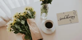 100+ Instagram Morning Caption – Best Good Morning Captions for Every Mood