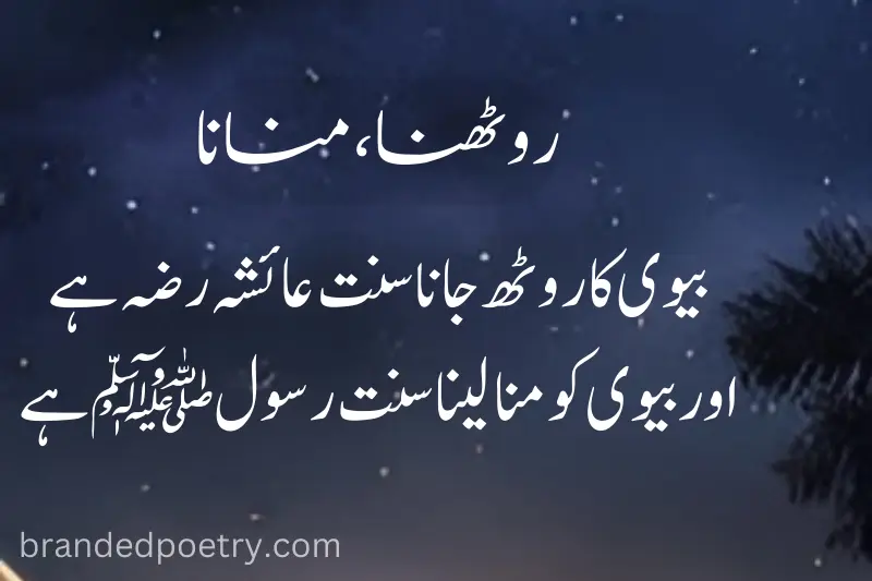 islamic quote about love in urdu