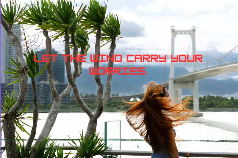 let the wind carry your worries