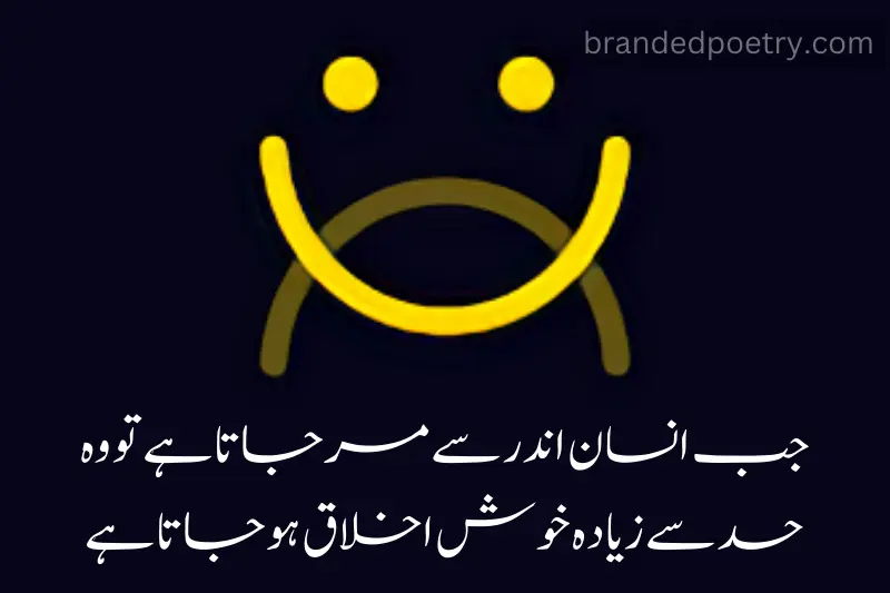 life sad happiness quote in urdu