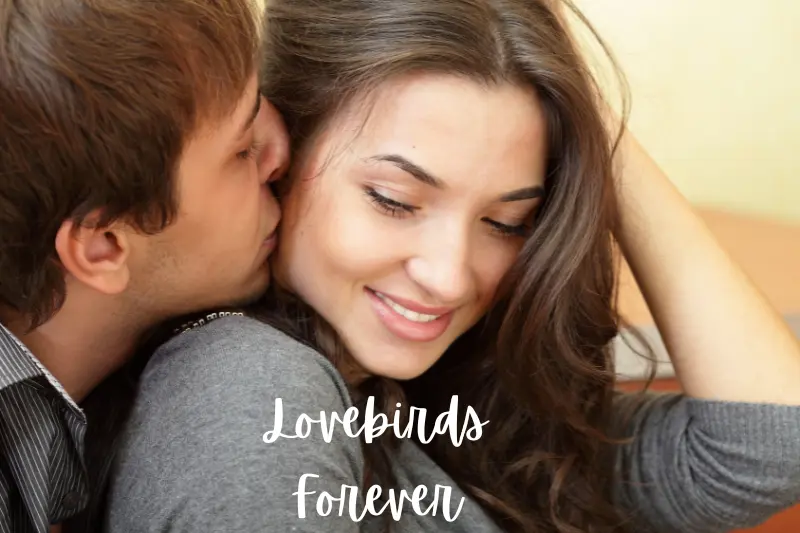 love birds forever