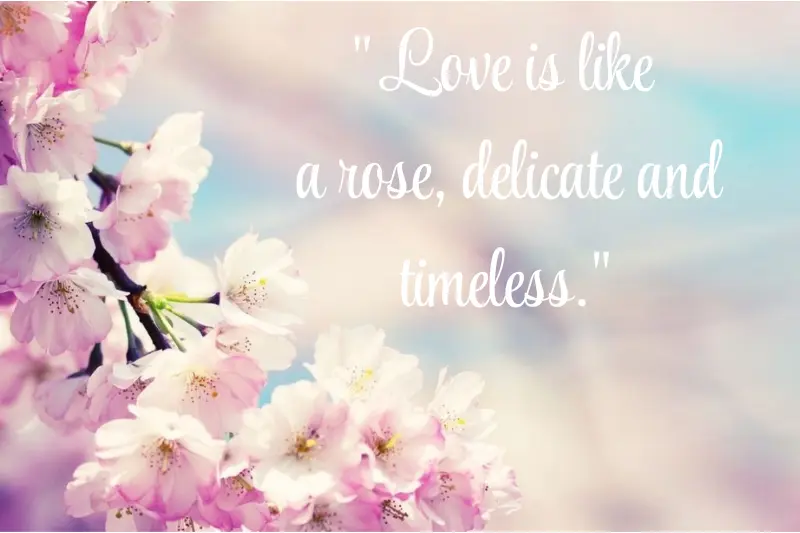 love is like a rose, delicate and timeless