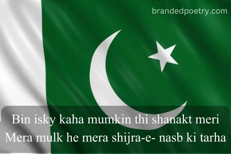 love poetry in english for pakistan flag