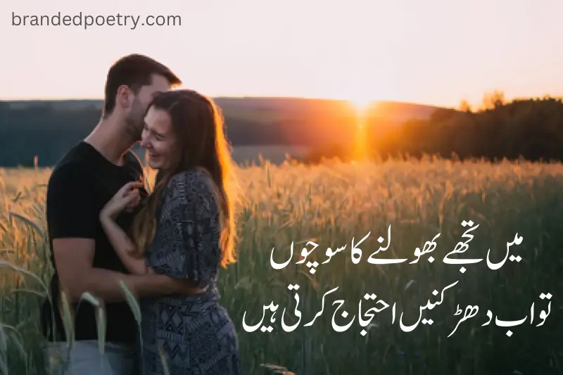 love poetry in urdu about happy lovers
