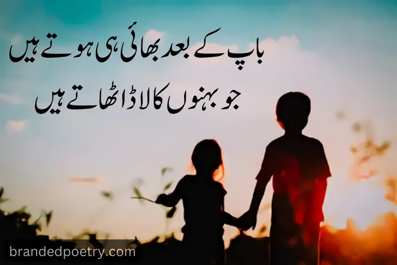 lovely brother sister quote in urdu