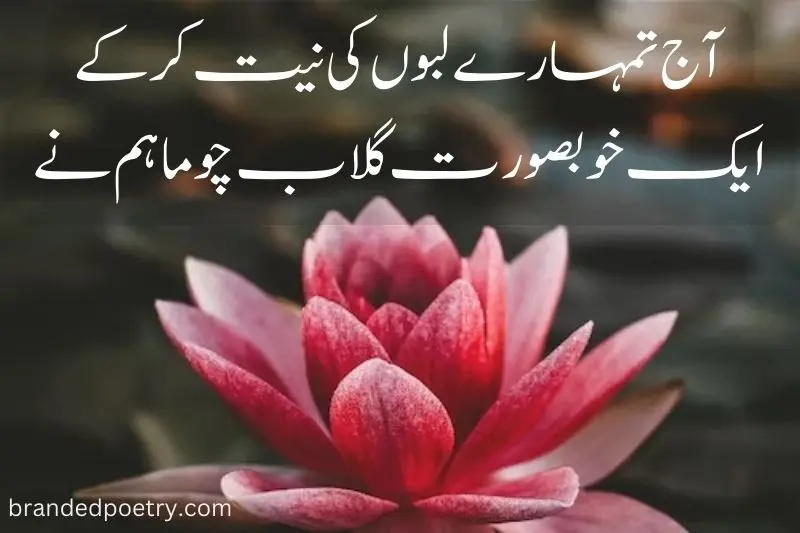 lovely rose poetry in urdu