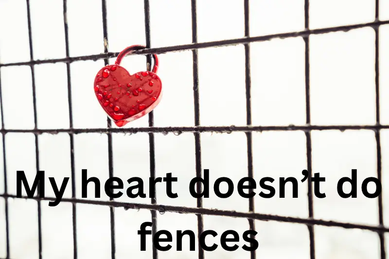 my heart doesn’t do fences